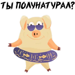 Piggy @stickersb2b whatsapp stickers