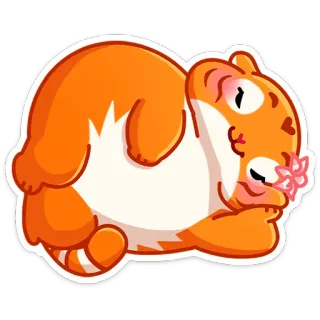 ☺ แฮมสเตอร์, สีส้ม, สัตว์, น่ารัก, นอนหลับ, ดอกไม้ telegram sticker