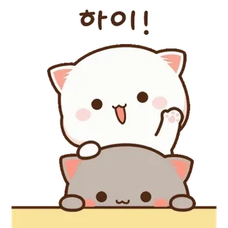 💬 하이! кошки, милый, привет, мультфильм, животные, каваий telegram sticker