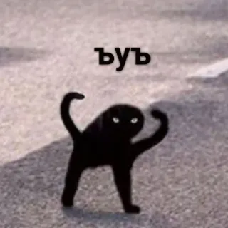 😾 ъуъ kot, czarny kot, mem, śmieszne, dziwne whatsapp sticker