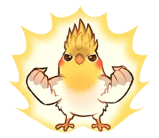💪 pássaro, calopsita, forte, animal, desenho animado telegram sticker