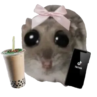 🥰 hamster TikTok hamster, boba, bubble tea, tiktok, cute, meme, bow telegram sticker