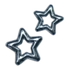 🌟