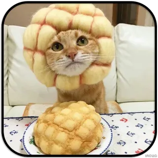 🥐 chat, pain, pain melon, nourriture, animal, mignon whatsapp sticker