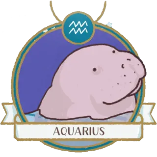 ♒️ AQUARIUS Водолей, зодиак, гороскоп, астрология, знак, водонос whatsapp sticker