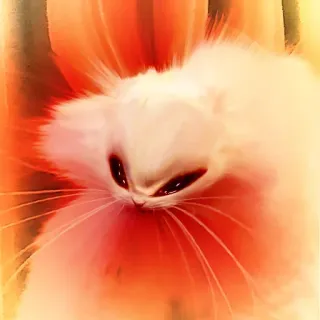😭 cat, white cat, animal, pet, cute, feline whatsapp sticker
