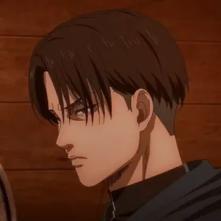😒 Levi Ackerman Attack on Titan Anime, Personagem, Levi, Ataque dos Titãs, Capitão Levi telegram sticker