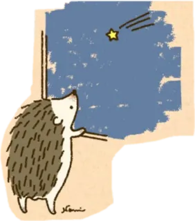 🌝 ёж, звезда, окно, милый, животное, рисунок telegram sticker