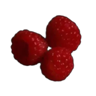 ❤ raspberry, fruit, food, red, berries telegram sticker
