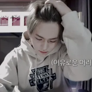 🐯 여유로운 머리 hombre, pelo, sudadera con capucha, coreano, casual, interior telegram sticker