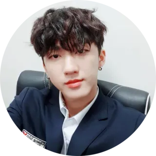 🙂 person, portrait, male, korean, man, singer, actor, asian telegram sticker