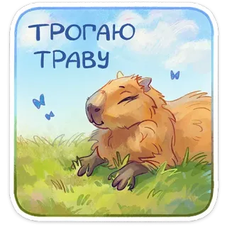 😌 ТРОГАЮ ТРАВУ Капибара, Трава, Животное, Милый, Природа, Грызун, Отдых telegram sticker