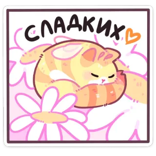 😴 сладких cat, cute, sweet, sleep, flowers telegram sticker
