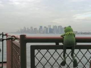 🐸 Kermit Kermit la rana, New York, Città, Rana, Marionetta, Muppets telegram sticker