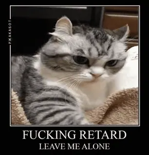 🗿 FUCKING RETARD
LEAVE ME ALONE 고양이, 불쾌한, 밈, 동물, 무례한 telegram sticker