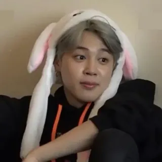 ✨ Jimin kpop, jimin, kelinci, topi, imut, idola whatsapp sticker