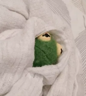 😞 Kermit Kermit the Frog, frog, puppet, blanket, cute, green, cozy telegram sticker