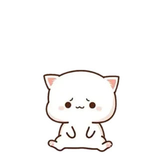 😕 고양이, 귀여운, 스티커, 카와이, 동물 telegram sticker