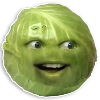 😼 cavolo, verdura, arancia fastidiosa, divertente, meme telegram sticker