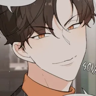 😊 SONA uomo, bello, anime, capelli castani, sorrisetto, ritratto telegram sticker