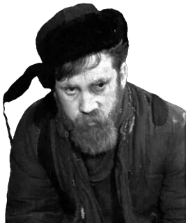 😡 homme, barbe, bonnet d'hiver, portrait, chapeau en fourrure, noir et blanc telegram sticker