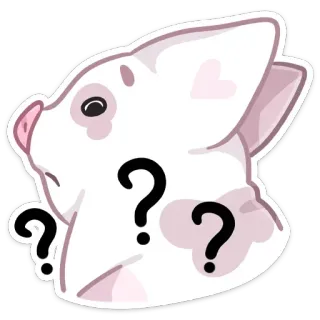 ❓ 물음표, 고양이, 스티커, 동물, 귀여운, 혼란스러운 whatsapp sticker