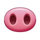 🐽