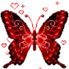 🦋