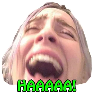 🤣 HAAAAAA! มีม, หัวเราะ, ตลก, สีหน้า, กรีดร้อง, อารมณ์ขัน telegram sticker