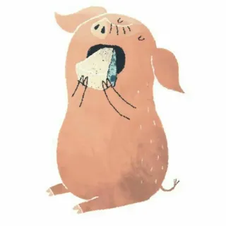 😋 pig, crying, sad, emotional, illustration, animal whatsapp sticker
