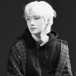 ▫️ orang, rambut putih, hoodie, potret, korea, asia telegram sticker