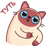 ❤️ gato, fofo, desenho animado, adorável, animal, engraçado whatsapp sticker