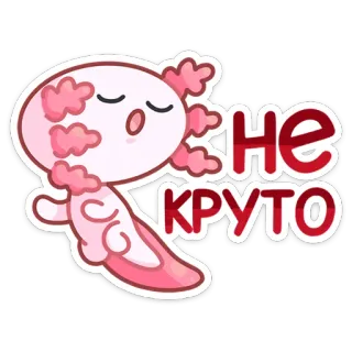 Лотти :: @stickroom telegram stickers