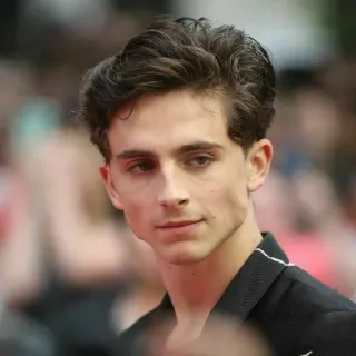 🦇 Timothée Chalamet celebridad, actor, retrato, hombre, Timothée Chalamet telegram sticker