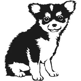 😕 개, 강아지, 동물, 애완동물, 치와와, 귀여운 telegram sticker