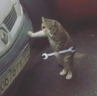 💧 Katze, Schraubenschlüssel, Tier, Mechaniker, Reparatur telegram sticker