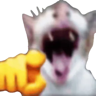 🫵