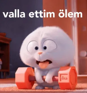 💪 valla ettim ölem 토끼, 운동, 웃긴, 역도, 귀여운, 토끼 whatsapp sticker