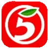 5️⃣