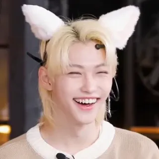 😸 Felix kpop, idol, słodki, uszy, stray kids, felix telegram sticker