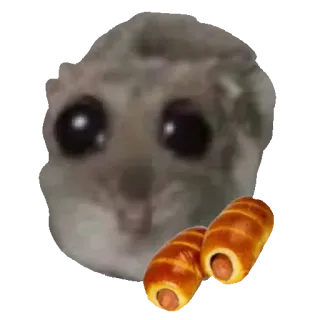 🥧 sugar glider sugar glider, animal, cute, sausage roll, food, funny, meme, staring telegram sticker