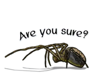 😦 Are you sure? spider, arachnid, insect, question, are you sure telegram sticker