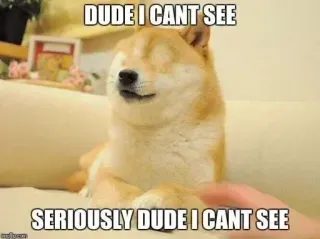 🦯 Doge Doge Meme DUDE I CANT SEE SERIOUSLY DUDE I CANT SEE doge, blind, meme, shiba inu, funny, confused, dog telegram sticker