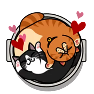 ❤ кот, коты, котёнок, сердечки, милый, питомец, животные whatsapp sticker