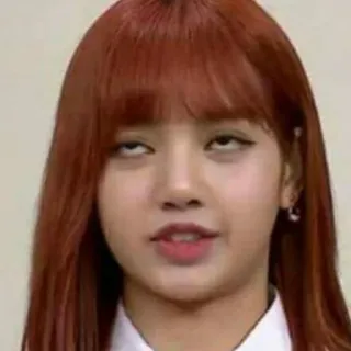 🙄 Lisa (Blackpink) kpop, idool, meme, grappig, sarcastisch, gezicht whatsapp sticker