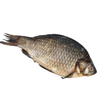 fish (@moloko_stk) whatsapp stickers