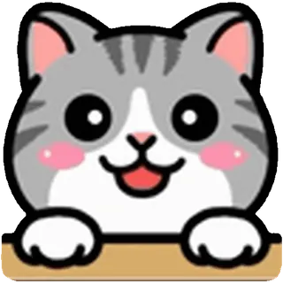 🐱