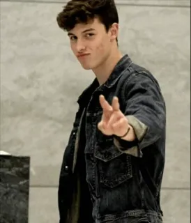 😏 Shawn Mendes cantante, celebrità, pace, giacca di jeans, uomo, ritratto telegram sticker