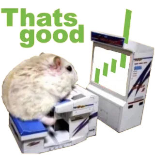 🚀 Thats good Hamster, Spielautomat, gut, Meme, positiv, süß, Haustier telegram sticker