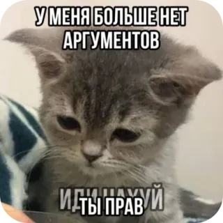 Больше стиков тут: @stikery4 telegram stickers